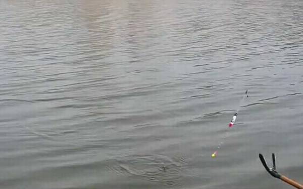 二月份阴天好钓鱼吗?