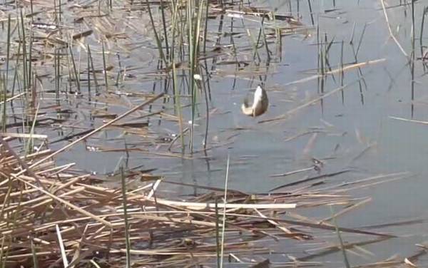 二月份雨天怎么钓鱼?