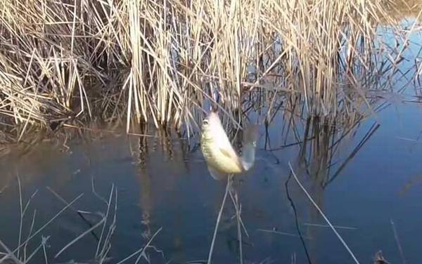 二月份雨天怎么钓鱼?