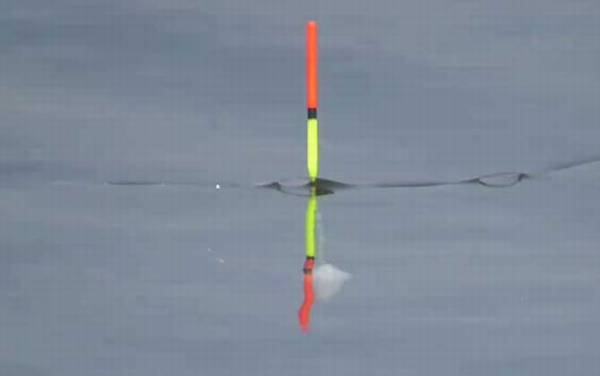 三月钓鱼技巧及饵料配方