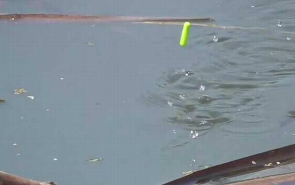 三月钓鱼钓深还是钓浅?