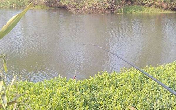 手竿传统钓鱼技巧及注意事项