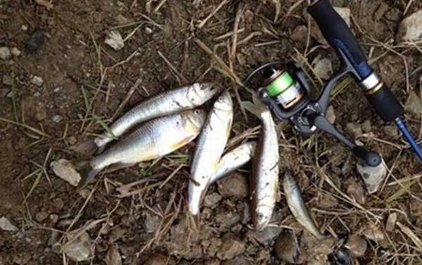 为什么初学路亚钓不到鱼?