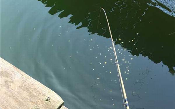 筏钓正确钓法及注意事项