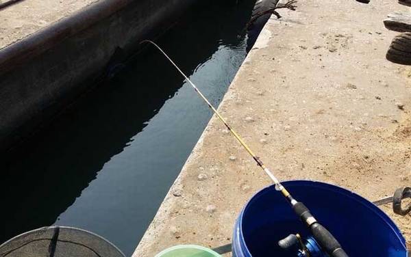 筏钓怎么调水深最有效?