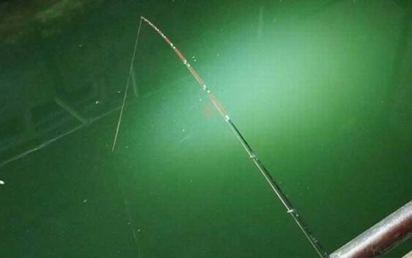 筏钓翘嘴绝招及注意事项