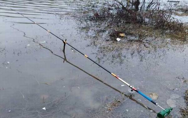 谷麦钓法绝招及注意事项