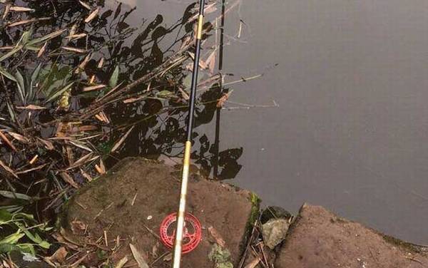 谷麦钓法绝招及注意事项