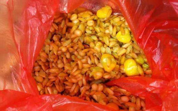 怎样用谷麦钓法钓鱼?