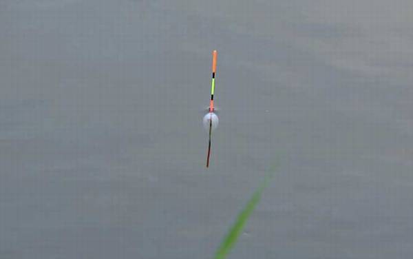 钓鱼调漂技巧及原理