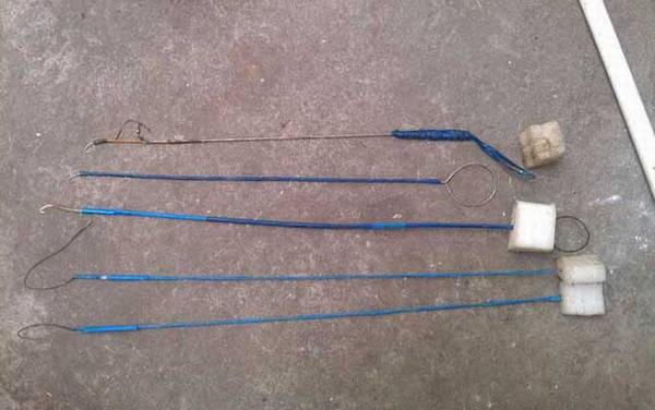 钓黄鳝绝招及注意事项