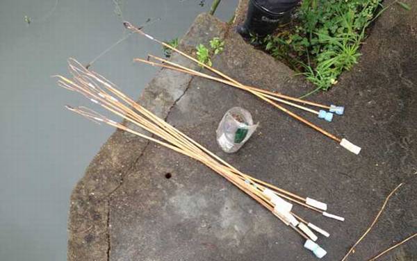 怎样钓黄鳝上鱼快?