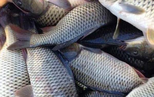 ˮ��������ǵ��׻��Ǹ���