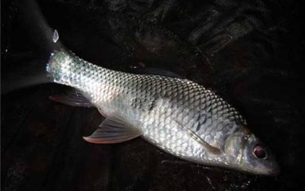 ҹ���������ʱ����ʲôʱ��