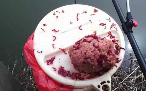 红虫钓鲫鱼怎么调漂最好?
