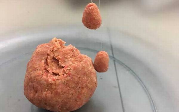 搓饵钓鱼一般多久提竿?