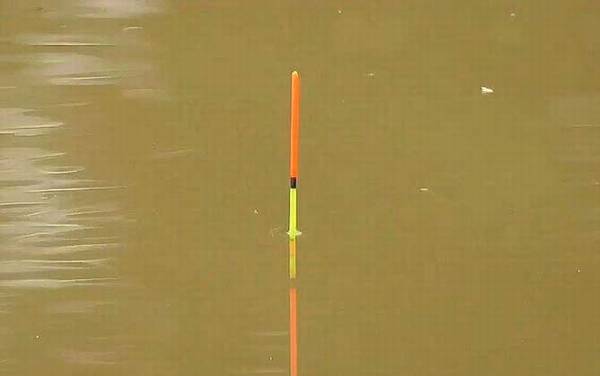 鲫鱼漂相什么时候提竿?