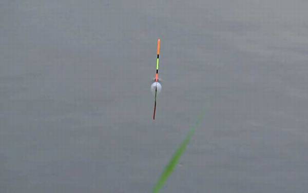 鲫鱼漂相什么时候提竿?