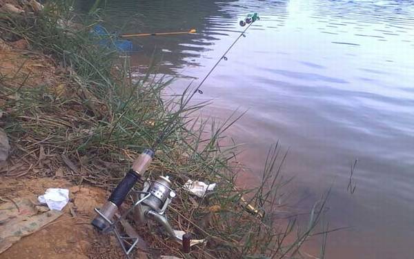 海竿钓鱼技巧大全,从线组、饵料到钓点、抛竿都很有讲究!