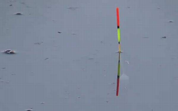 钓鲫鱼怎样调漂最灵敏?不要拘泥于调几钓几,取决于实际鱼情!