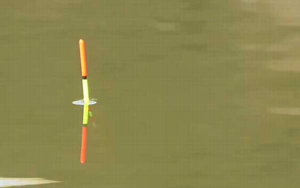 钓鲫鱼怎样调漂最灵敏?不要拘泥于调几钓几,取决于实际鱼情!