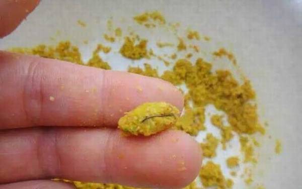 饵料附钩性不好怎么办?有6个原因,对照处理就能开好饵料!