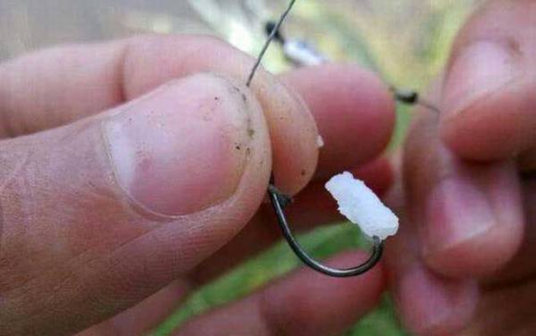 黑坑十大禁用饵料,这10种饵料,钓黑坑很多时候都不让用!