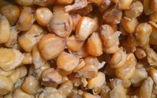 蚯蚓钓鱼用什么打窝料最好?首选酒米,其次是发酵五谷杂粮等!