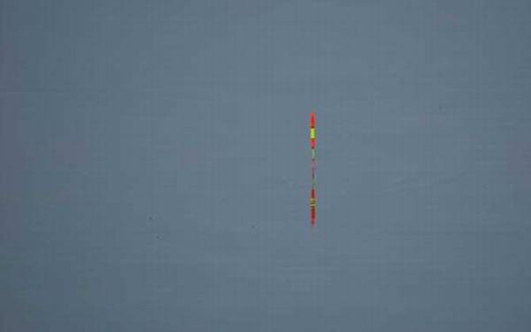 野钓蚯蚓调几钓几最好?没有一定,一般建议调水平钓1目到5目!