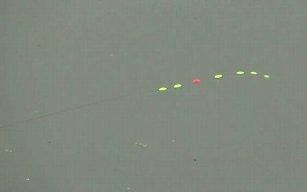 七星漂双钩悬坠钓调漂方法,和立漂差不多,优点是只需调一次漂!