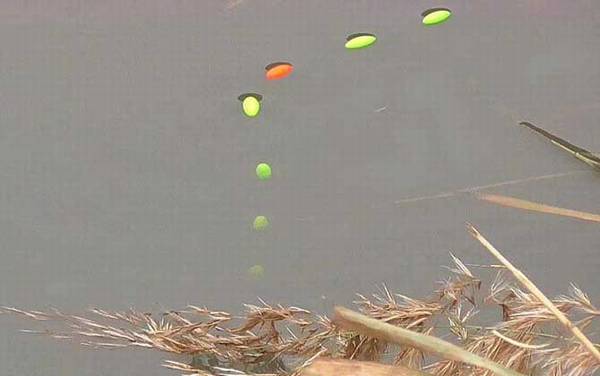 七星漂双钩悬坠钓调漂方法,和立漂差不多,优点是只需调一次漂!