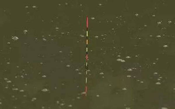 无钩调漂法的正确方法,原理和有钩一样,比有钩更好掌握灵钝!