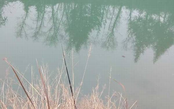 钓鱼人有哪些优点?别看不起钓鱼人,这六大优点不是谁都能做到!