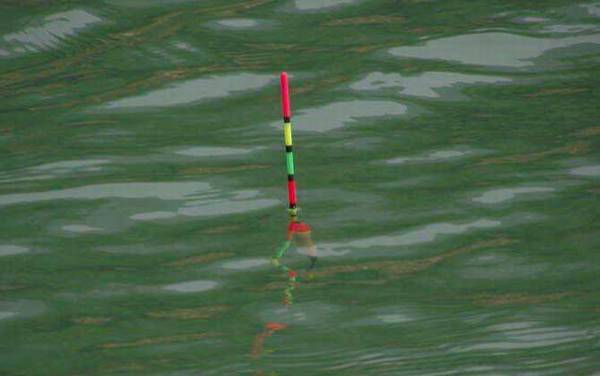 钓鱼浮标有什么用?不但是钓鱼人的眼睛,还能调整钩饵所在水层!