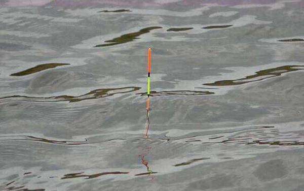 钓鱼看漂有什么技巧?看懂这7种漂相,上鱼率能提高50%以上!