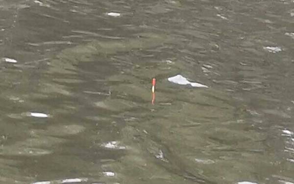 钓鱼看漂有什么技巧?看懂这7种漂相,上鱼率能提高50%以上!