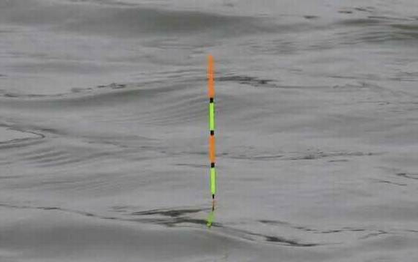 钓鱼看漂有什么技巧?看懂这7种漂相,上鱼率能提高50%以上!