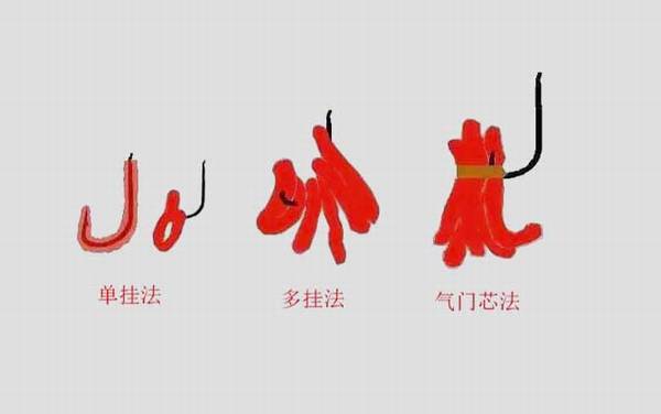 红虫_是什么_怎么挂钩_有毒吗