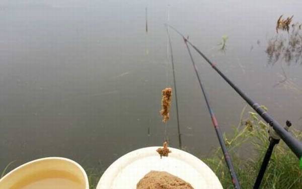 台钓_入门知识_调漂技巧_线组搭配