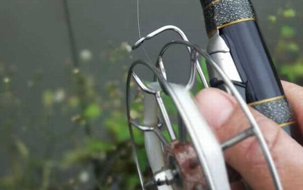 谷麦钓法_入门技巧_逗钓教学_如何找窝