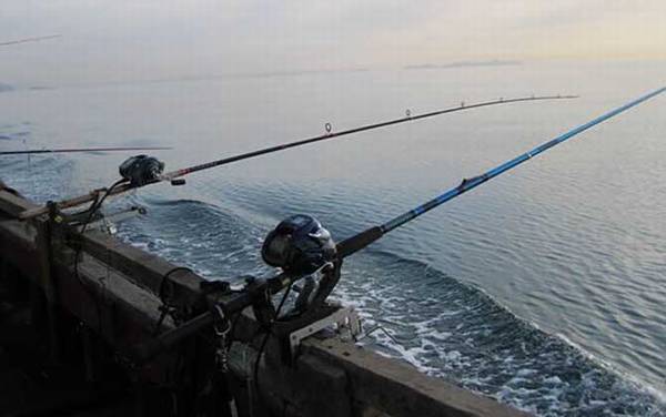 海钓_入门技巧_鱼饵大全_钓组搭配