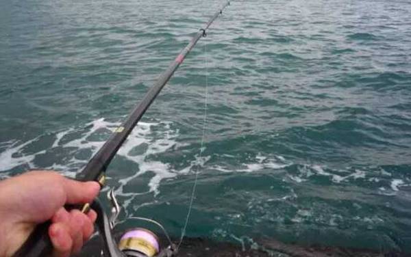 矶钓_浮游矶钓_入门技巧_线组搭配