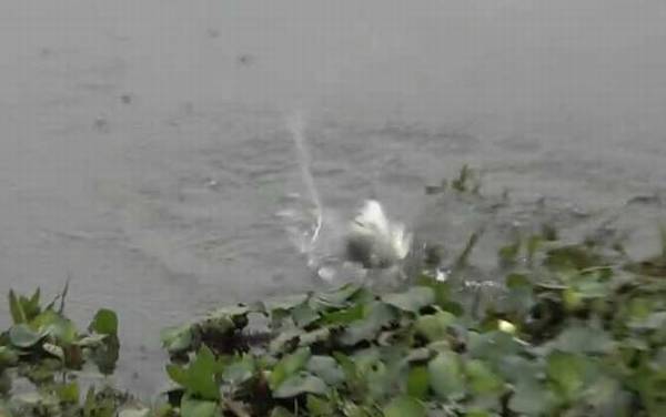 冬季钓鱼_技巧和方法_钓几米深最好_用什么味型饵料