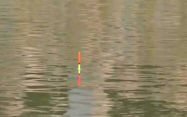 冬季钓鱼_技巧和方法_钓几米深最好_用什么味型饵料