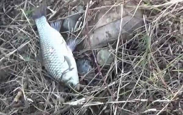 冬季钓鱼_技巧和方法_钓几米深最好_用什么味型饵料