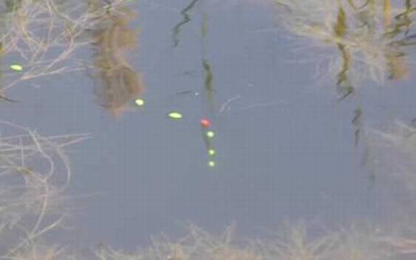 七星漂_调漂方法_漂相大全_提竿技巧