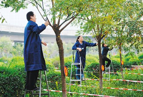 南方花卉繁殖栽培管理图片 南方花卉繁殖栽培管理图片