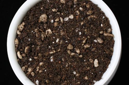 ɽʯ𣿻ɽʯԾʲôô