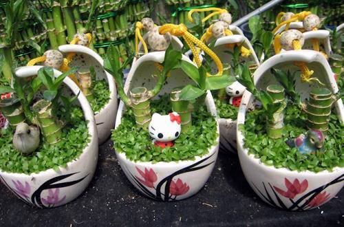 1551753934477093.jpg 刚装修好的新房放什么植物吸收甲醛好