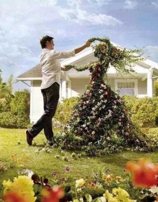 漂亮的园艺 大神级园艺作品赏析-美得惊心动魄